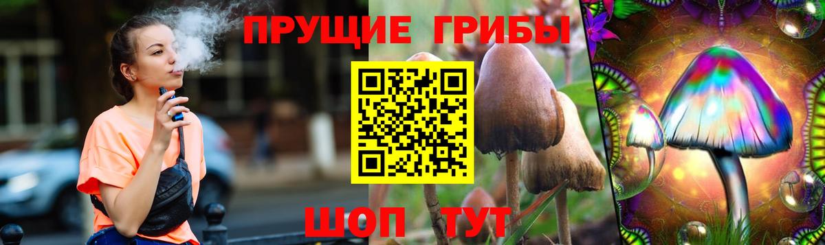 Галлюциногенные грибы Psilocybine cubensis  Вход с VPN  Балахна 